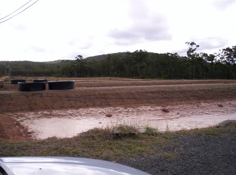 106_3694 (Medium).JPG