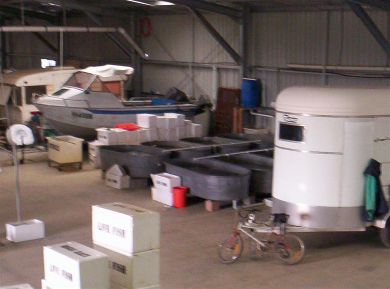 106_3697 (Medium).JPG