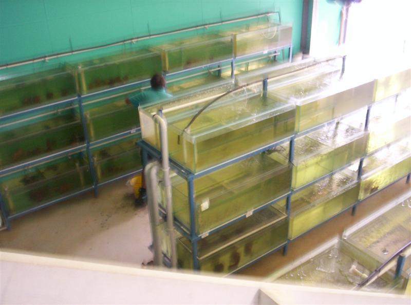 106_3699 (Medium).JPG