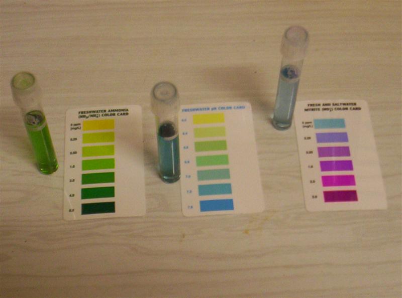 106_3713 (Medium).JPG