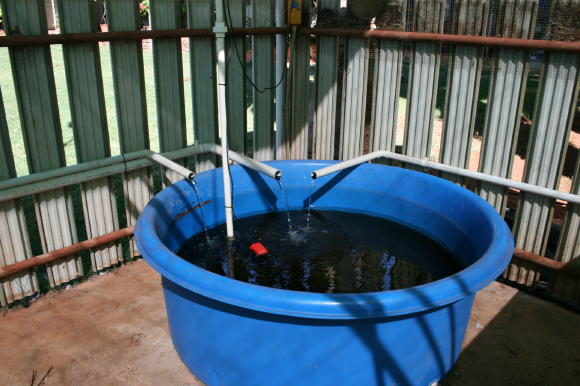 Aquaponics 08.05.080002_2_1.JPG