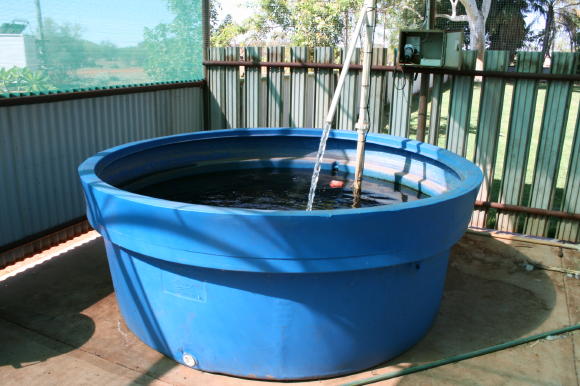 Aquaponics 08.05.080001_1_1.JPG