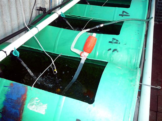 14-05 aqua 001 (Small).jpg