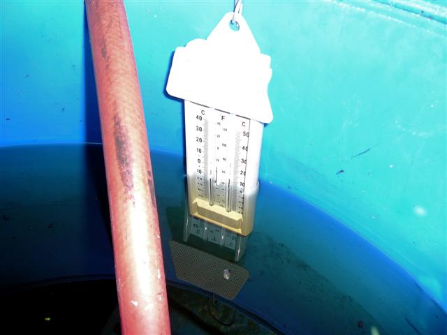 14-05 aqua 003 (Small).jpg