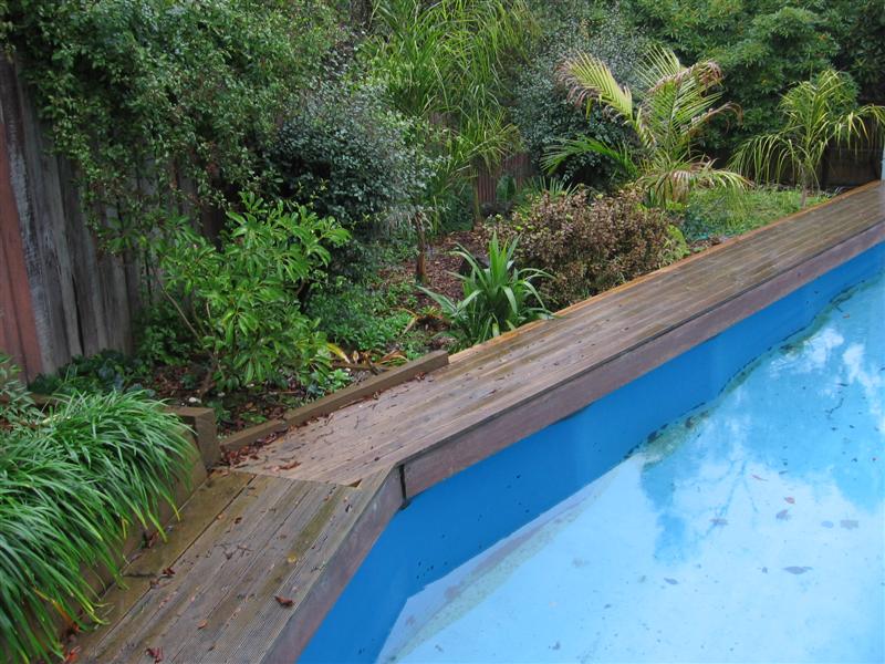 julies pool 006 (Medium).jpg