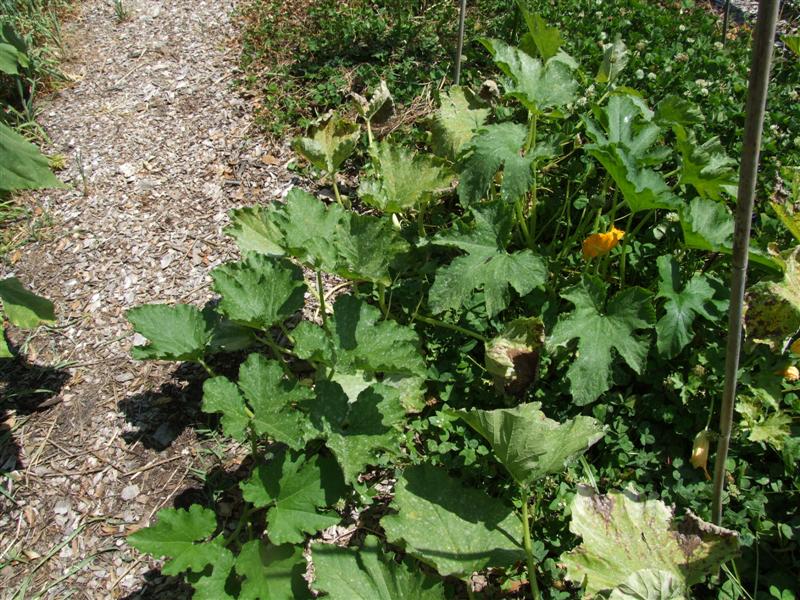 Middle May 14 (Medium).JPG