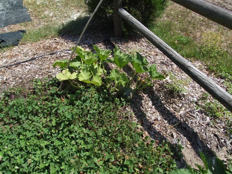 North 3 may 14 (Medium).JPG