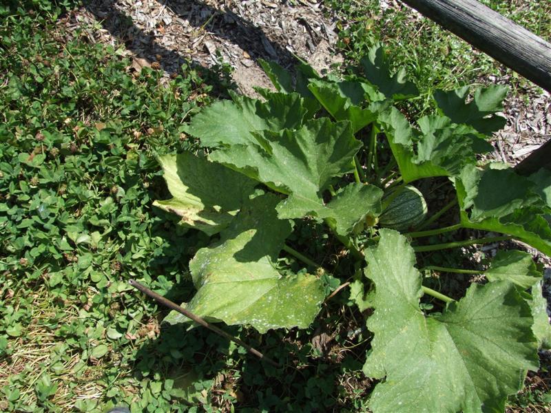 North 2 May 14 (Medium).JPG