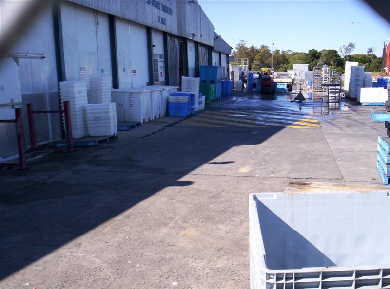 106_3519 (Medium).JPG