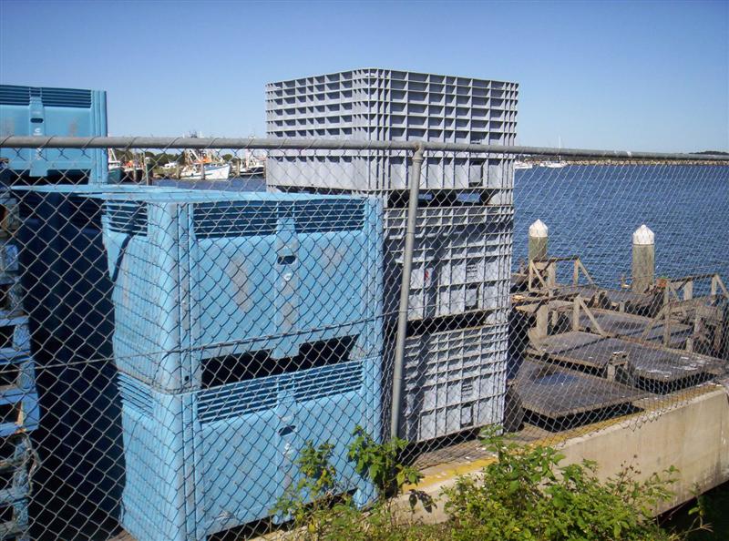 106_3518 (Medium).JPG