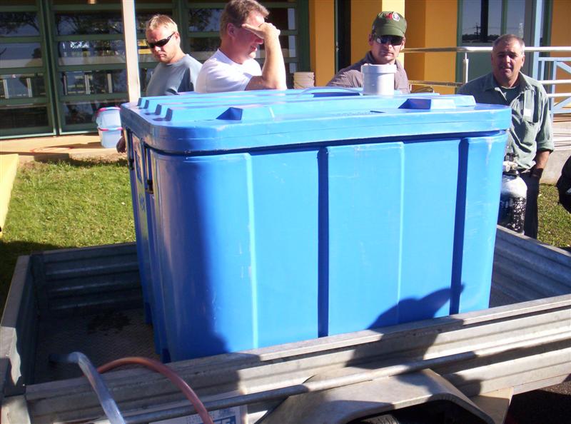 106_3377 (Medium).JPG