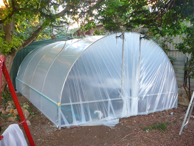 greenhouse 004.jpg