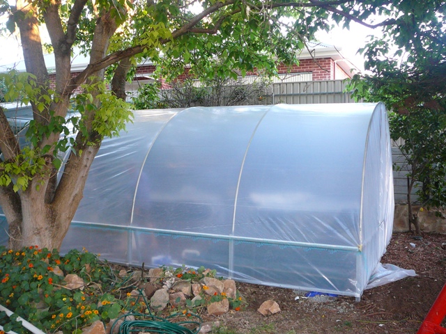 greenhouse 003.jpg