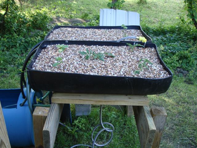 growbeds (Small).JPG