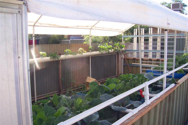 Home 003 (Medium).jpg