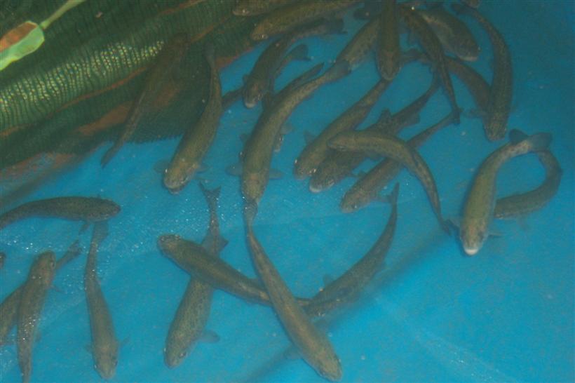 Home 001 (Custom).jpg