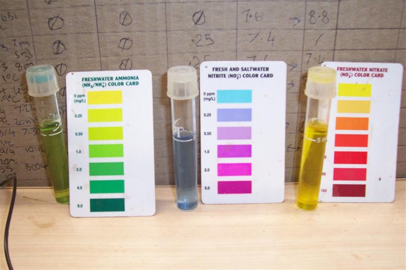 Home 004 (Medium).jpg