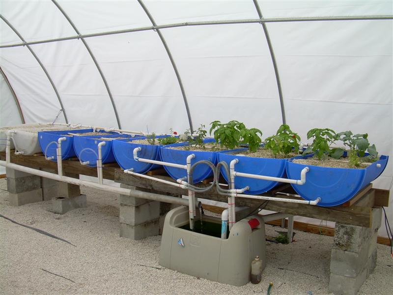 DSCN0818 (Medium).JPG