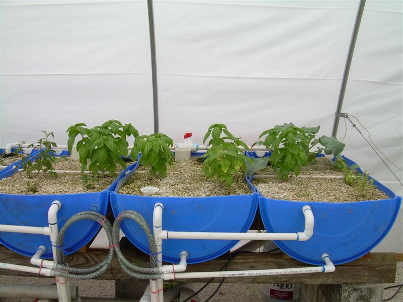 DSCN0819 (Medium).JPG