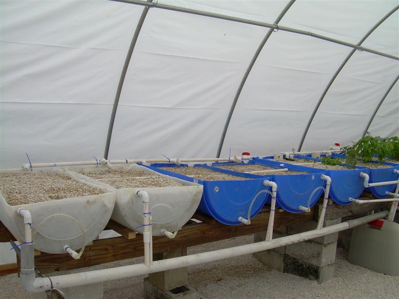 DSCN0820 (Medium).JPG