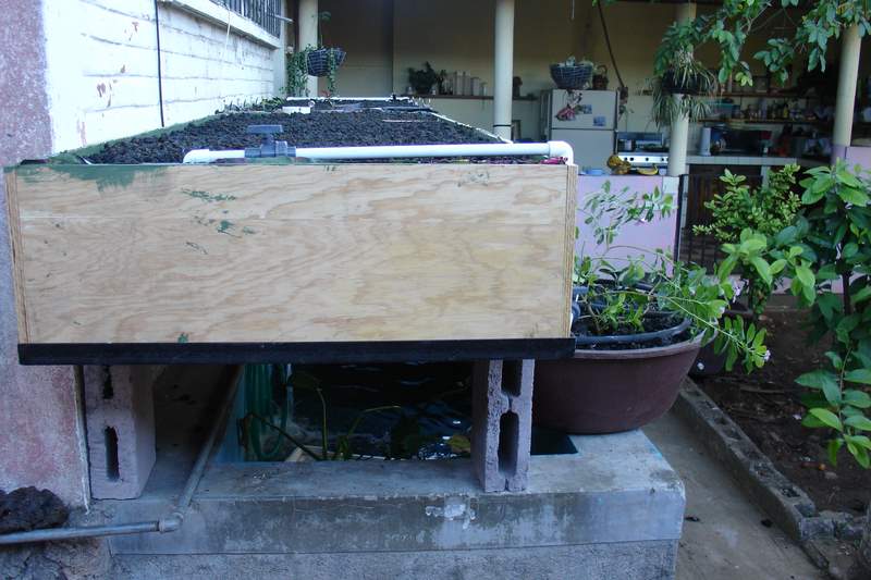 2400 liters of growing pleasure.jpg