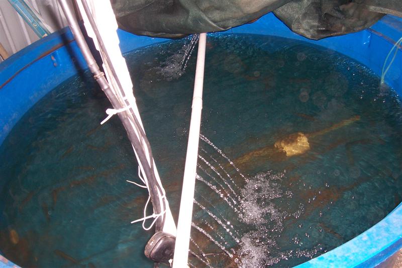 Home 007 (Medium).jpg