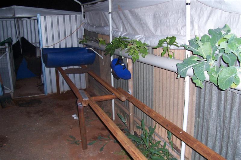 Home 006 (Medium).jpg