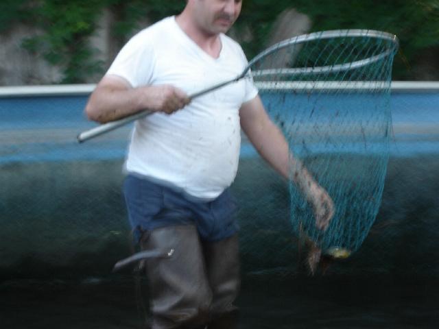 Copy of Serena's camera 5-08 034.jpg