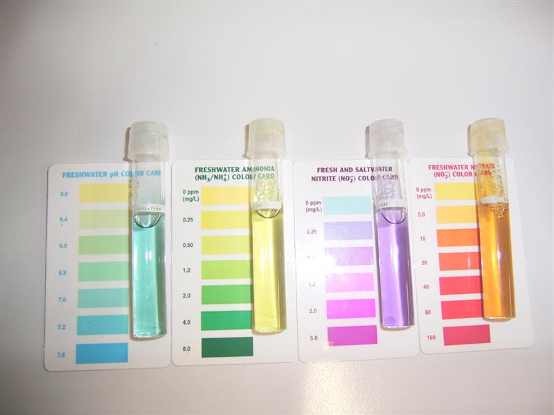 Water Tests 002 (Medium).jpg