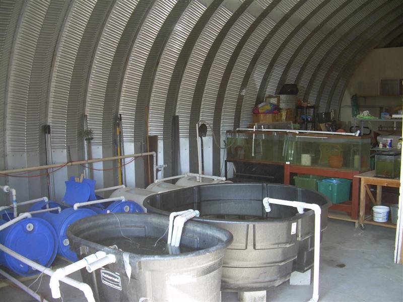 DSCN0824 (Medium).JPG