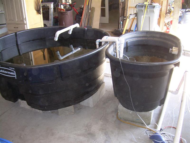 DSCN0825 (Medium).JPG