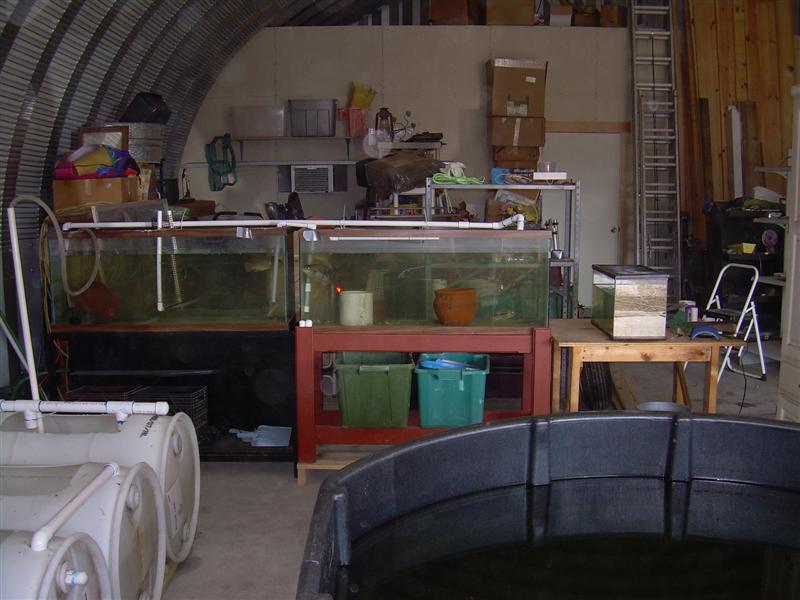 DSCN0826 (Medium).JPG