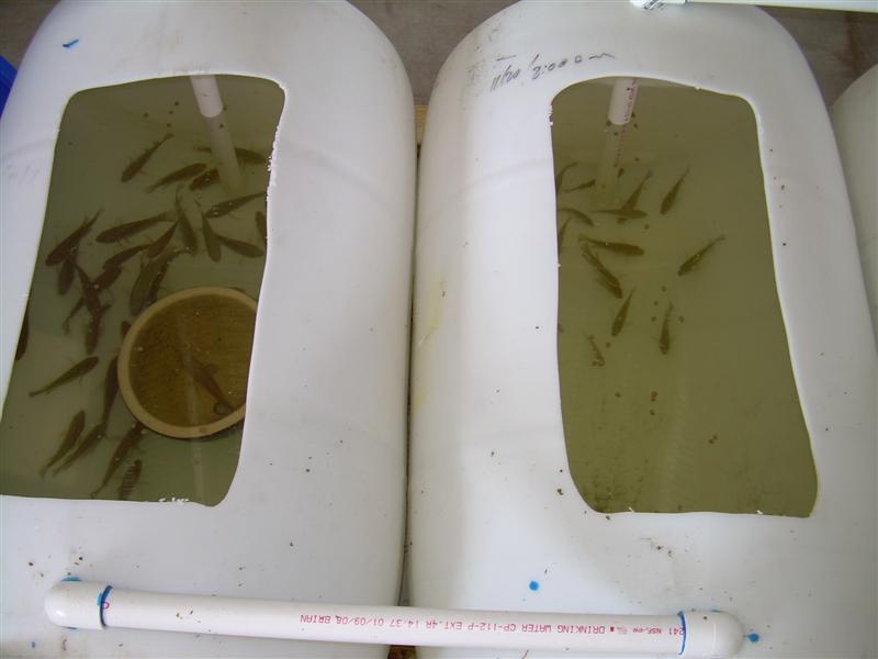 DSCN0831 (Medium).JPG