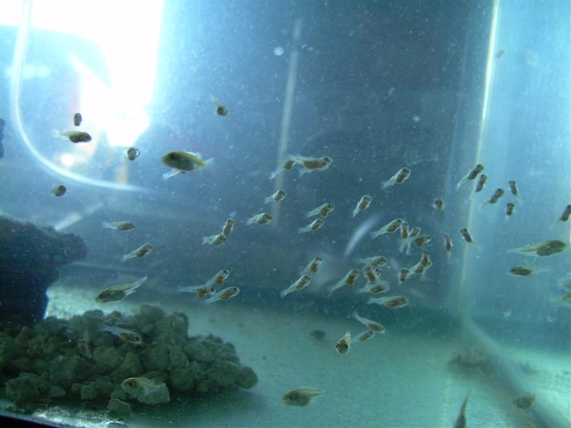 DSCN0822 (Medium).JPG