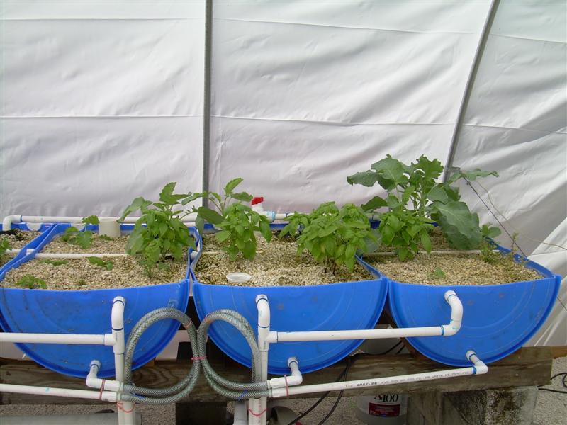 DSCN0832 (Medium).JPG