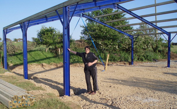 a welsh dragon lady.jpg