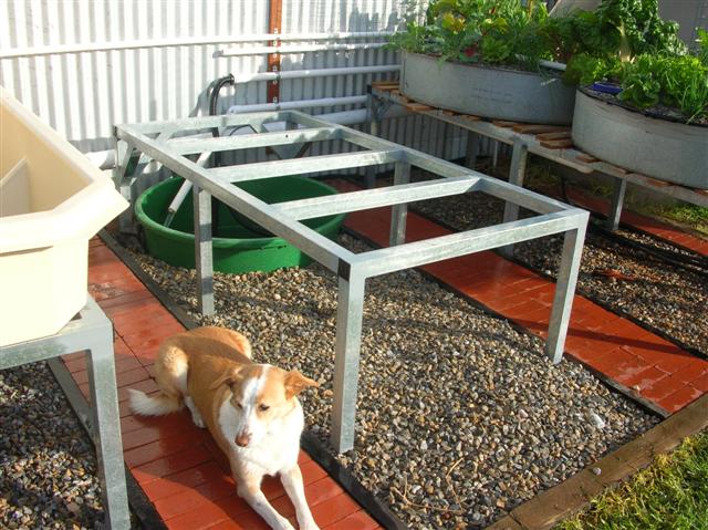 DSCN1002 (Small).JPG