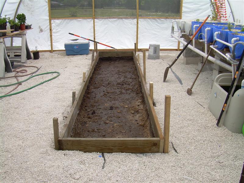 DSCN0834 (Medium).JPG