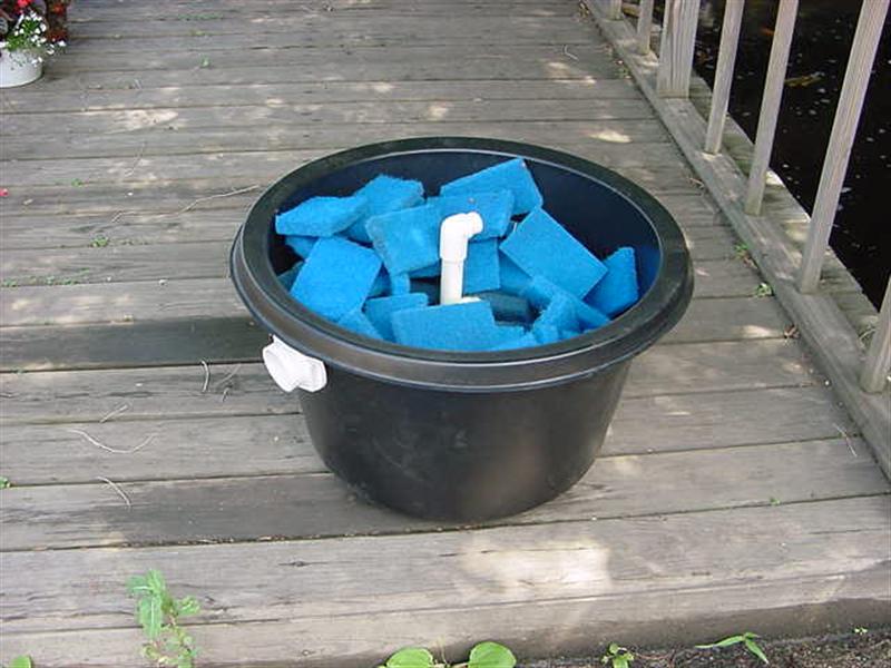 minime3 (Medium).jpg