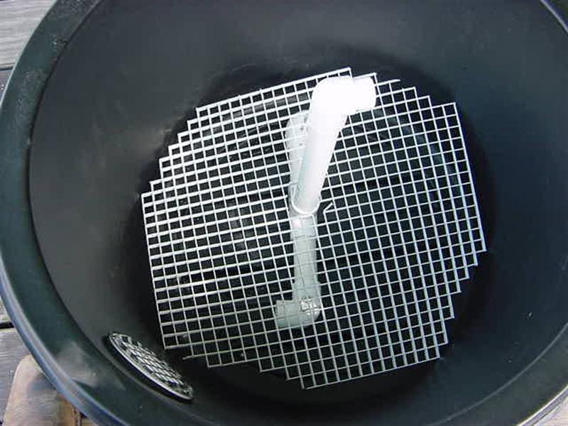 minime2 (Medium).jpg