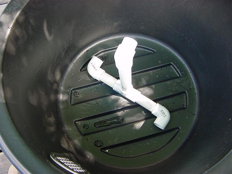 minime1 (Medium).jpg