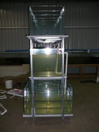 aquarium%20stand%20005.jpg