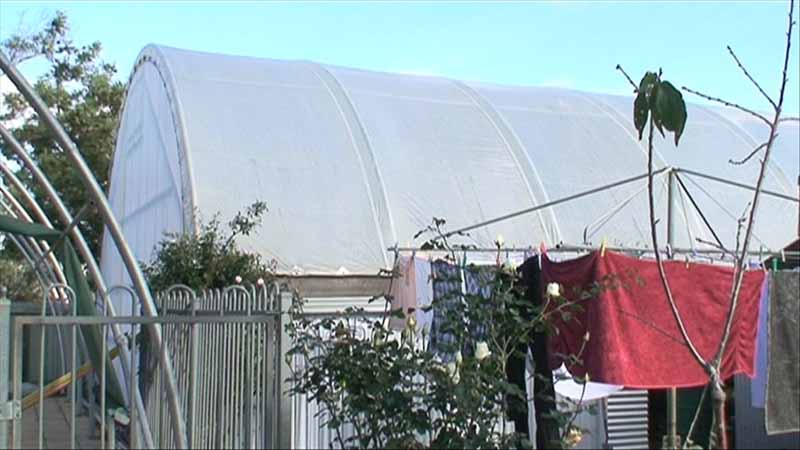 greenhouse%20no4.jpg
