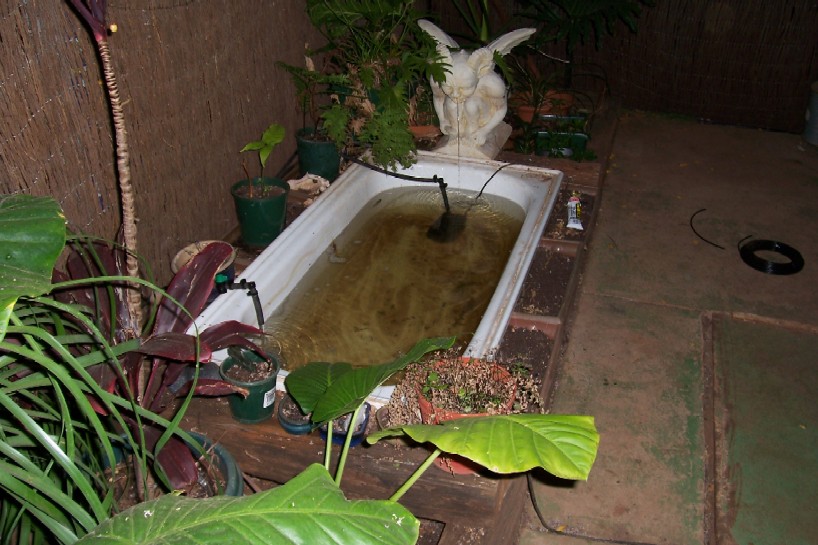 aquaponics 015.jpg