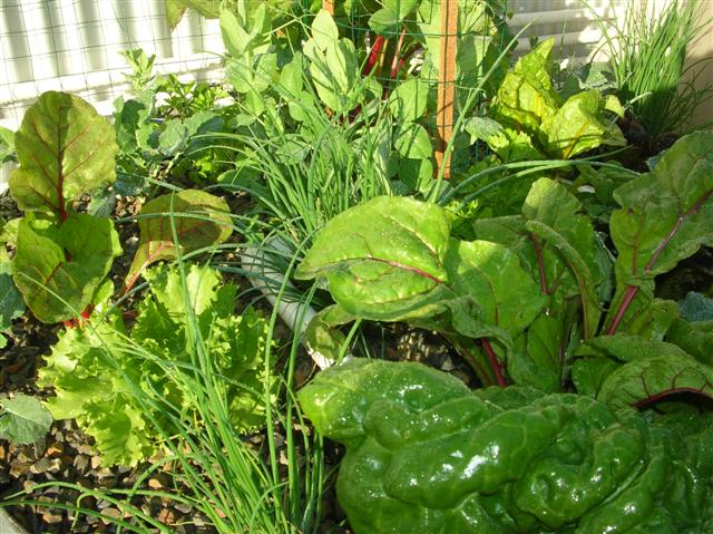 DSCN0976 (Small).JPG