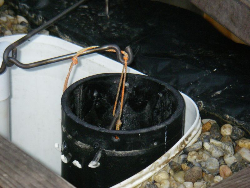 flush valve detail2.jpg