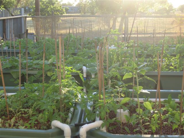 14 June AP system 002 (Small).jpg