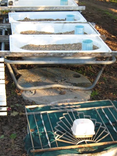 IMG_2653 (Small).jpg