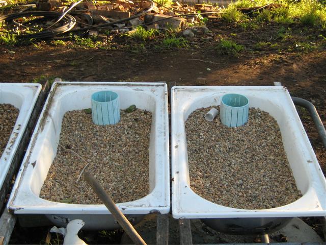 IMG_2656 (Small).jpg