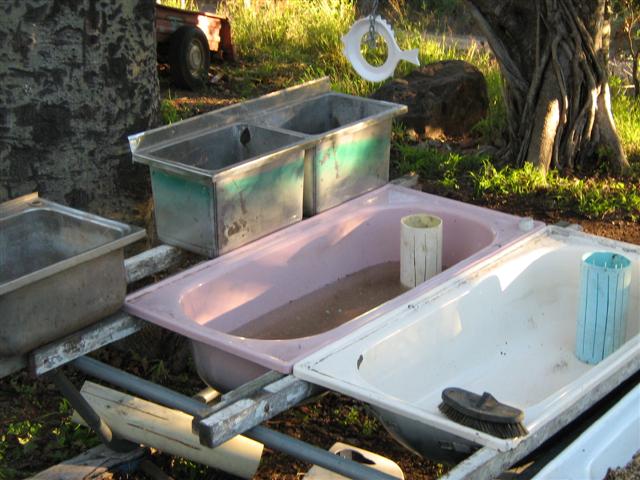 IMG_2655 (Small).jpg